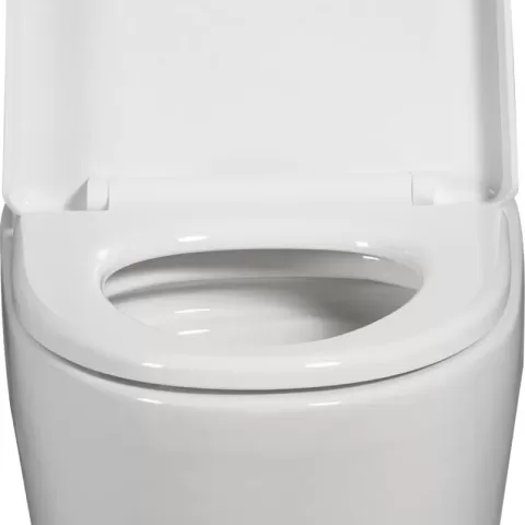 1.11.6 Gpf Dual Flush 1 Piece Elongated Toilet With Soft Close Seat Gloss White, Water Saving, Modern, Stylish Design 23t01 Gw 1