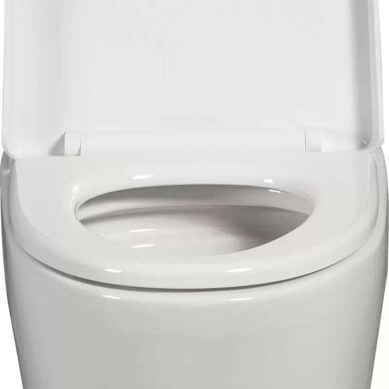 1.1/1.6 GPF Dual Flush 1-Piece Elongated Toilet with Soft-Close Seat - Gloss White, Water-Saving, Modern, Stylish Design 23T01-GW