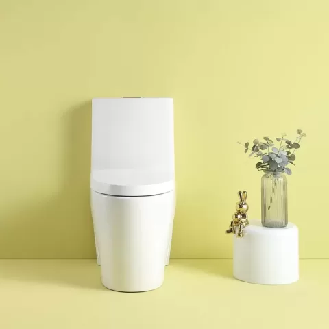 1.11.6 Gpf Dual Flush 1 Piece Elongated Toilet With Soft Close Seat Gloss White, Water Saving, Modern, Stylish Design 23t01 Gw 10