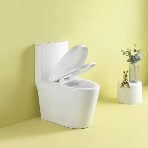 1.11.6 Gpf Dual Flush 1 Piece Elongated Toilet With Soft Close Seat Gloss White, Water Saving, Modern, Stylish Design 23t01 Gw 11