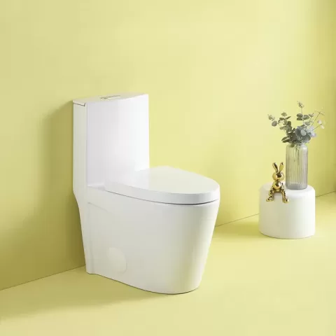 1.11.6 Gpf Dual Flush 1 Piece Elongated Toilet With Soft Close Seat Gloss White, Water Saving, Modern, Stylish Design 23t01 Gw 6