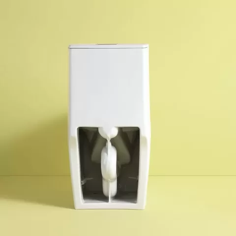 1.11.6 Gpf Dual Flush 1 Piece Elongated Toilet With Soft Close Seat Gloss White, Water Saving, Modern, Stylish Design 23t01 Gw 8