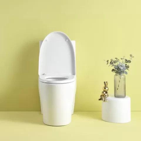 1.11.6 Gpf Dual Flush 1 Piece Elongated Toilet With Soft Close Seat Gloss White, Water Saving, Modern, Stylish Design 23t01 Gw 9