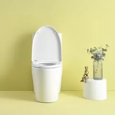 1.1/1.6 GPF Dual Flush 1-Piece Elongated Toilet with Soft-Close Seat - Gloss White, Water-Saving, Modern, Stylish Design 23T01-GW