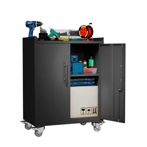 2 Door Tool Cabinets For Garage 3