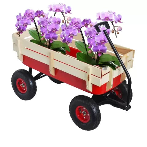 Outdoor Wagon All Terrain Pulling Wwood Railing Air Tires Children Kid Garden 20