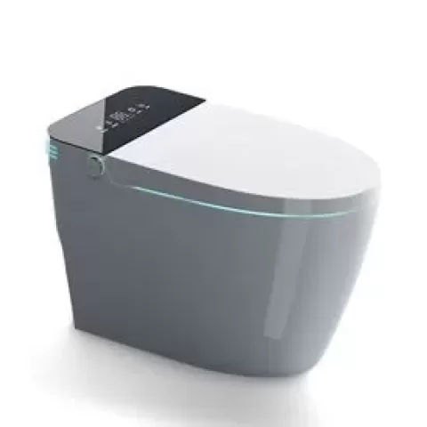 Smart Toilets with Heated Bidet Seat, Portable toilet with bidet built in AUTO Open&Close, Bidet toilet with Dryer and Warm Water