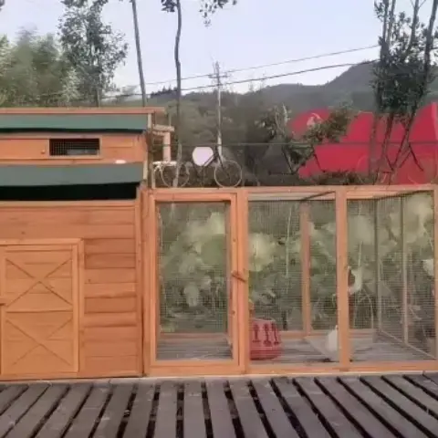 113inches Super large chicken pet coop, Cunninghamia lanceolata, outdoor rabbit coop, rain insulation roof, egg box, leakproof tractor tray and ramp