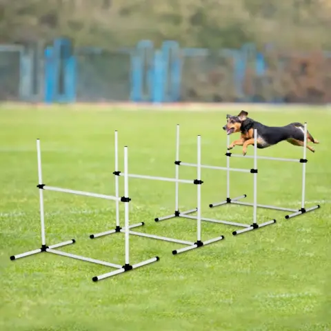 4 Pack Adjustable Dog Agility Jumps With Carry Bag Exercise Dog Jumping Hurdles For Indoor Outdoor Dog Agility Course Game6