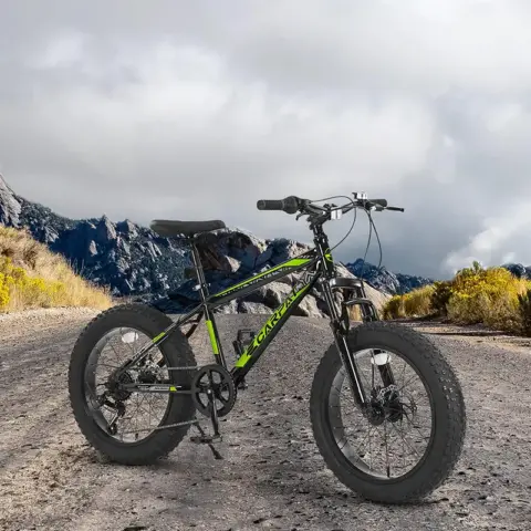 Ecarpat Kids Bike 20 Inch Wheels, 4 Wide Fat Tire Snow Mountain Bike Ages 8 12 Year Old, Steel Frame, 7 Speed Teenager Children Kids' Bicycles 3